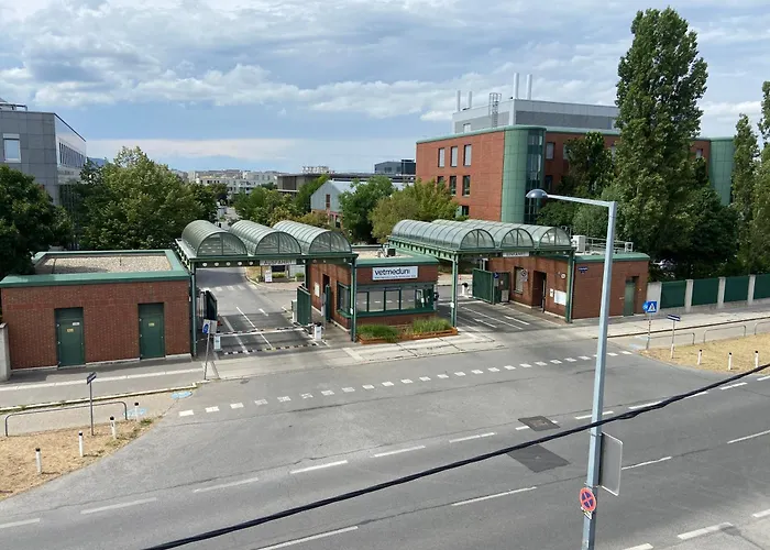 Ajo Vetmed - Contactless Check-In